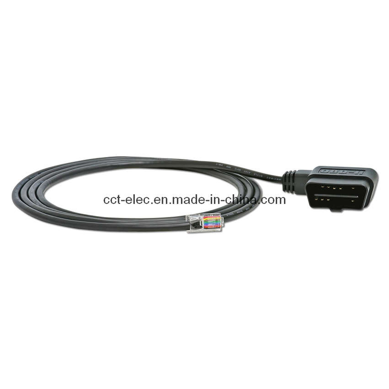 J1962 16p M to RJ45 Cable